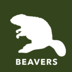 a white silhouette of a beaver