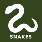 a white snake on a green background