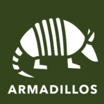 a white armadillo on a green background