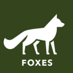 foxes ion