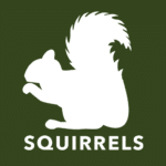 squirrels icon