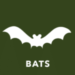 bats icon