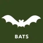 bats icon