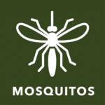 mosquito icon