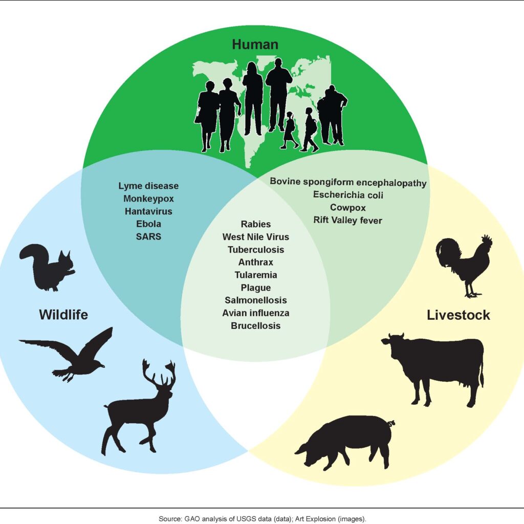 zoonotic diseases