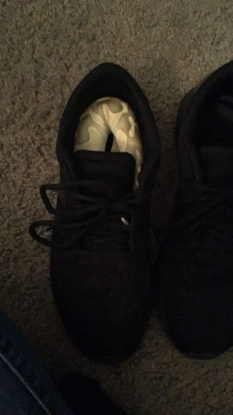 Pair of sneakers on carpet, a common hiding spot for an escaped snake