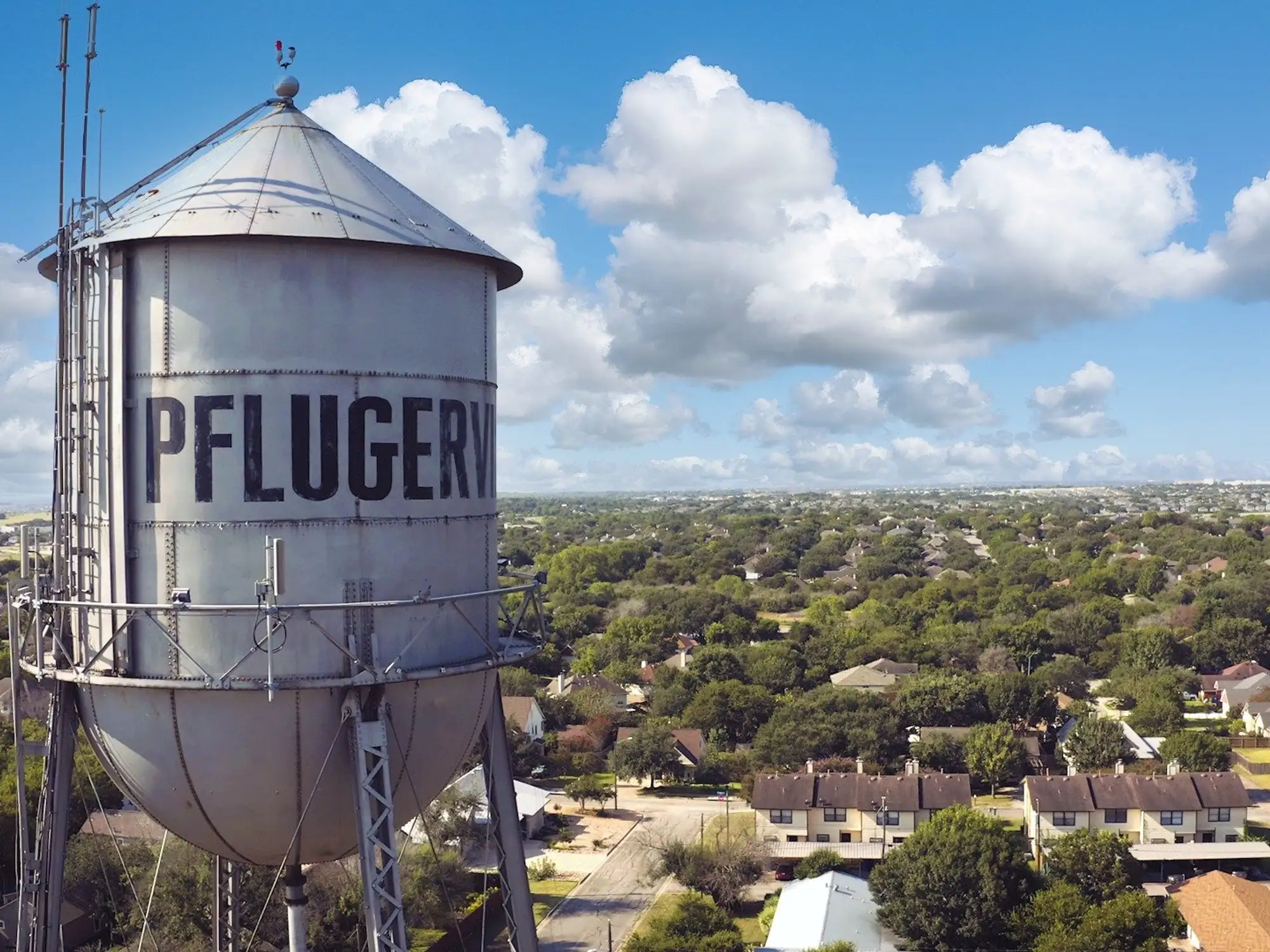 Wildlife Removal Pflugerville
