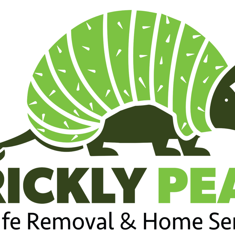 After photo - Pflugerville | Villages of Hidden Lake Rodent & General Pest Control in Central Texas