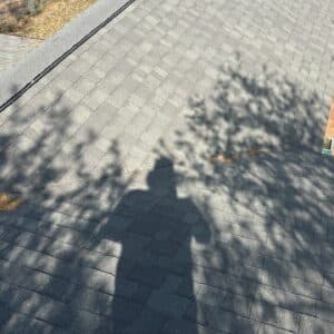 Before photo - Austin | Crestview Squirrel Wildlife Removal in Austin