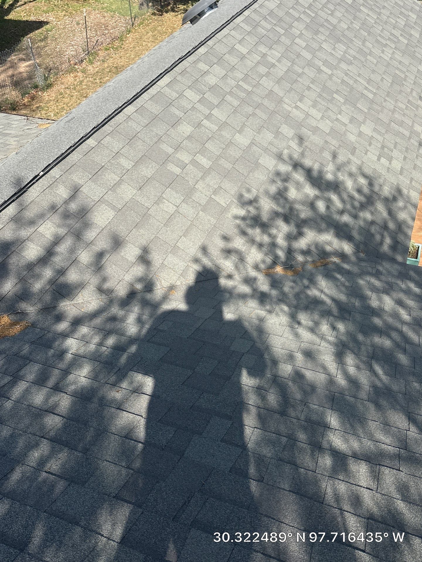 Before photo