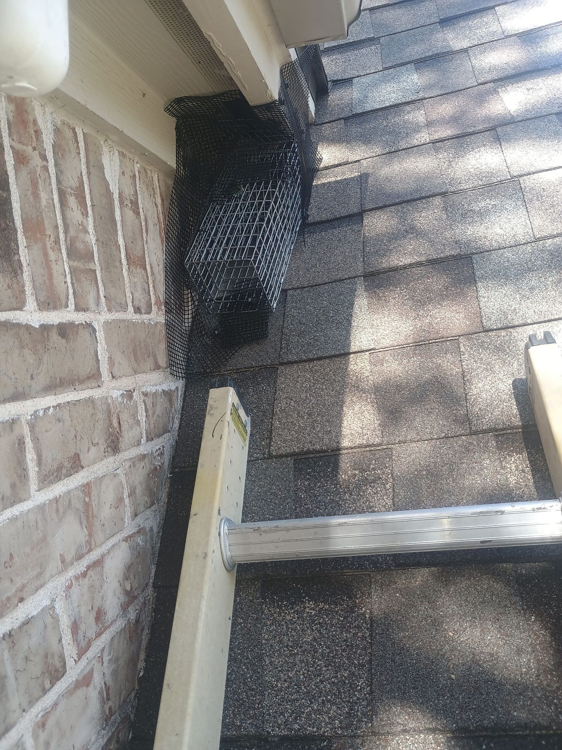 Before photo