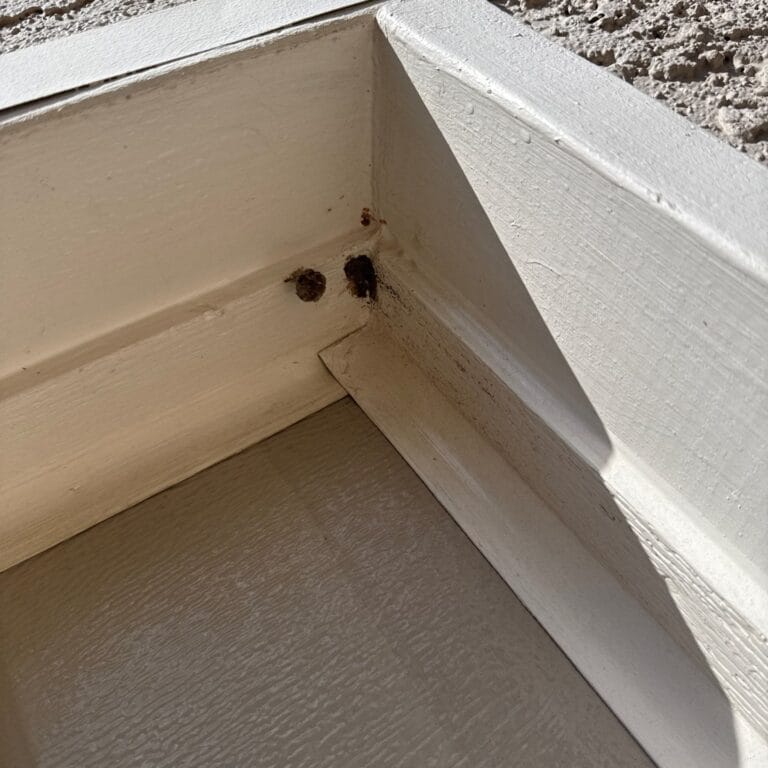 Teravista General Pest Control