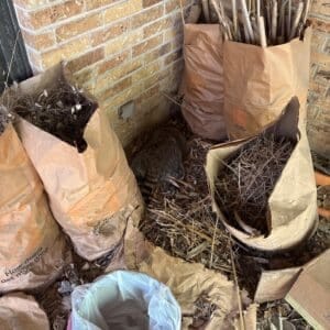 Before photo - Georgetown | Raccoon Wildlife Removal in Georgetown