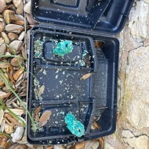 Before photo - Austin | Steiner Ranch Pest Prevention Pest Control in Austin