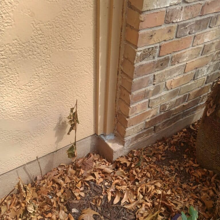 Before photo - Austin | Wells Branch Rodent Exclusion Wildlife Removal in Central Texas