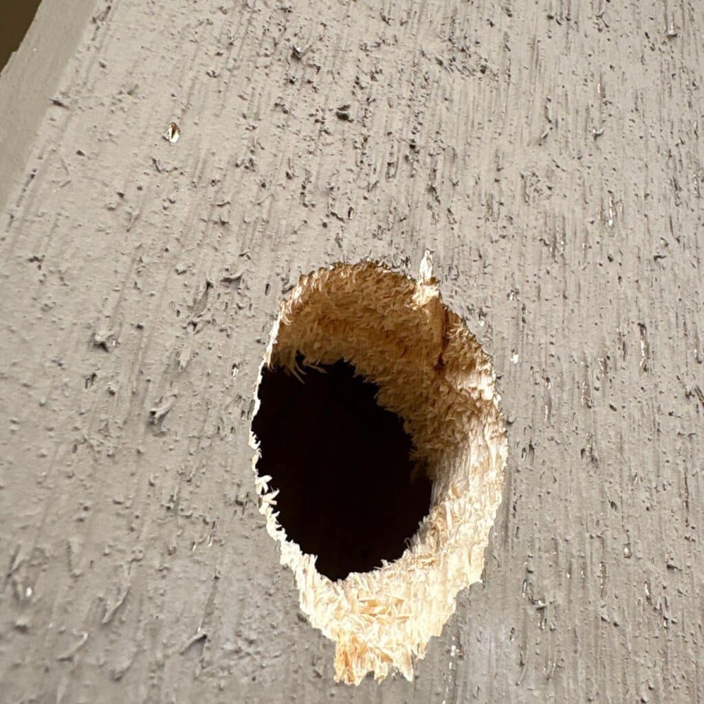 Woodpecker hole in Sun City back porch column