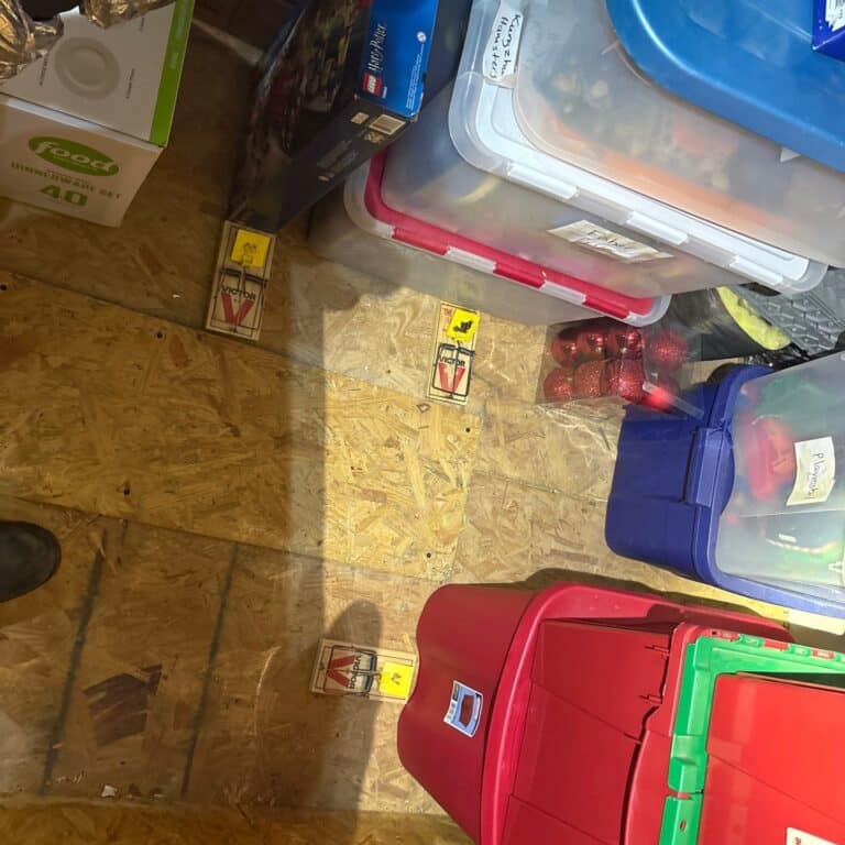 Cedar Park | Ranch at Brushy Creek Rodent Pest Control in Cedar Park