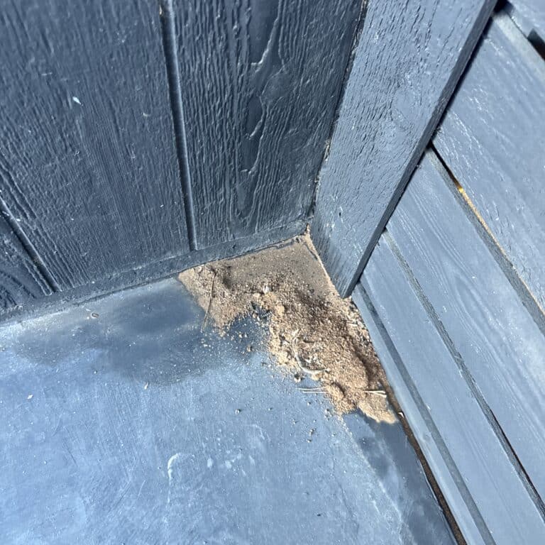 East Austin Roaches and Ants Pest Control