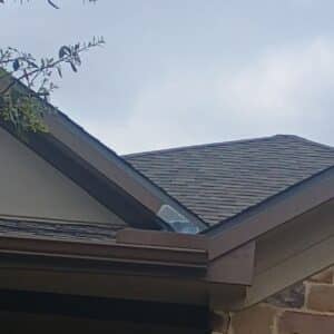 Leander | Mason Hills Squirrel Wildlife Removal in Leander