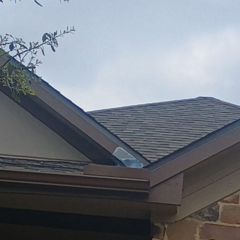 Mason Hills Squirrel Wildlife Removal