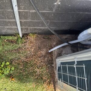 Austin | East Austin General Pests Pest Control in Austin