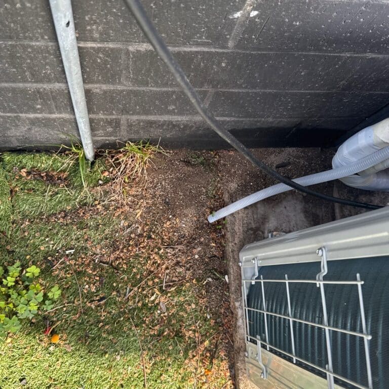 East Austin General Pests Pest Control