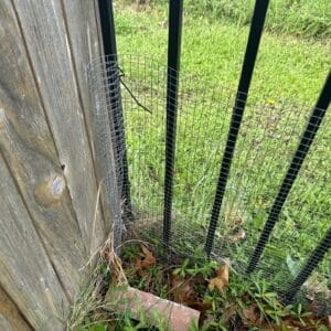 Pflugerville | Falcon Pointe General Pest Control in Pflugerville