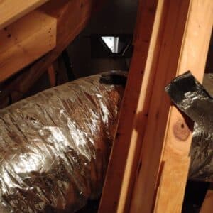 Marble Falls | Meadowcreek Rodent Pest Control in Marble Falls