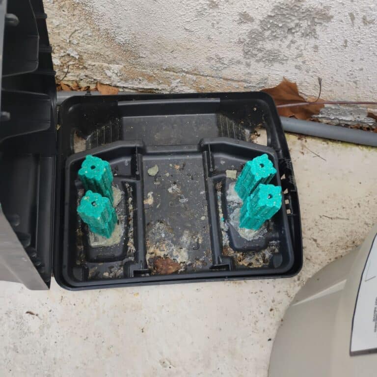 Falconhead Rodent Wildlife Removal