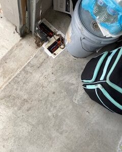 Hutto | Hutto Highlands Snakes Wildlife Removal in Hutto