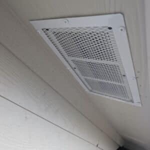 Austin | Olympic Heights Squirrel Removal & Exclusion in Austin