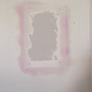 Austin | Garrison Park Raccoon Damage Repair in Austin