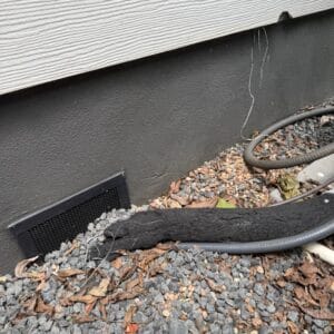 Austin | Govalle Rodent Control Follow-Up in Austin
