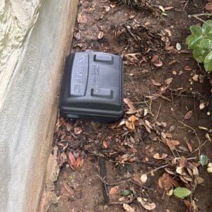Round Rock | Teravista Rodent & Ant Pest Control in Round Rock