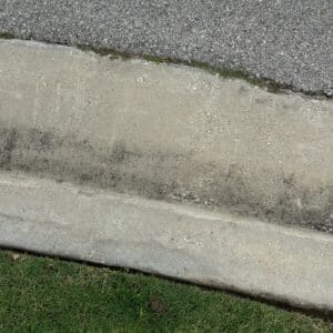 Manor | Presidential Meadows Fire Ant Pest Control in Manor