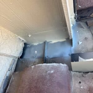Austin | Steiner Ranch Squirrel Removal in Austin