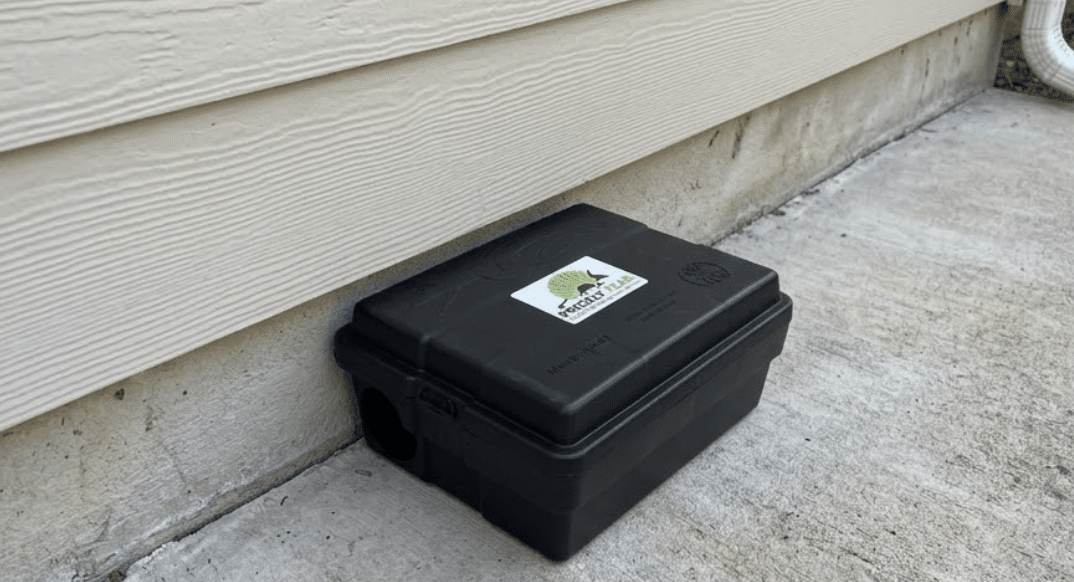 Rodent bait box against vinyl siding