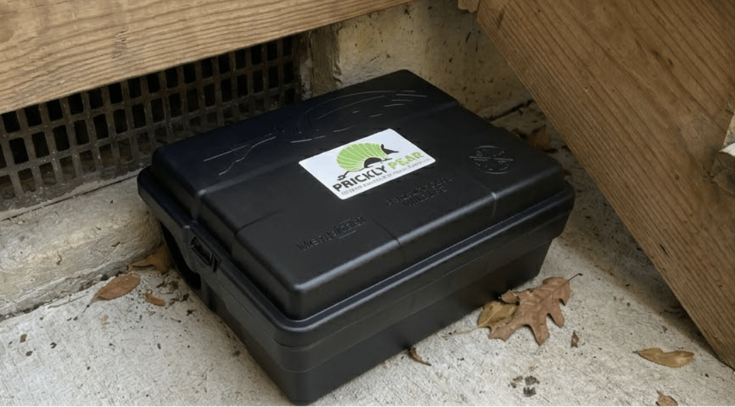 Rodent bait box against wooden structure.