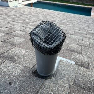 Austin | Gracywoods Rodent Exclusion Excellence in Austin
