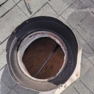 Austin | Garrison Park Squirrel Wildlife Removal in Austin