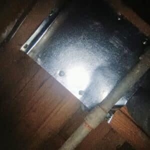 Austin | University Hills Raccoon Wildlife Removal in Austin