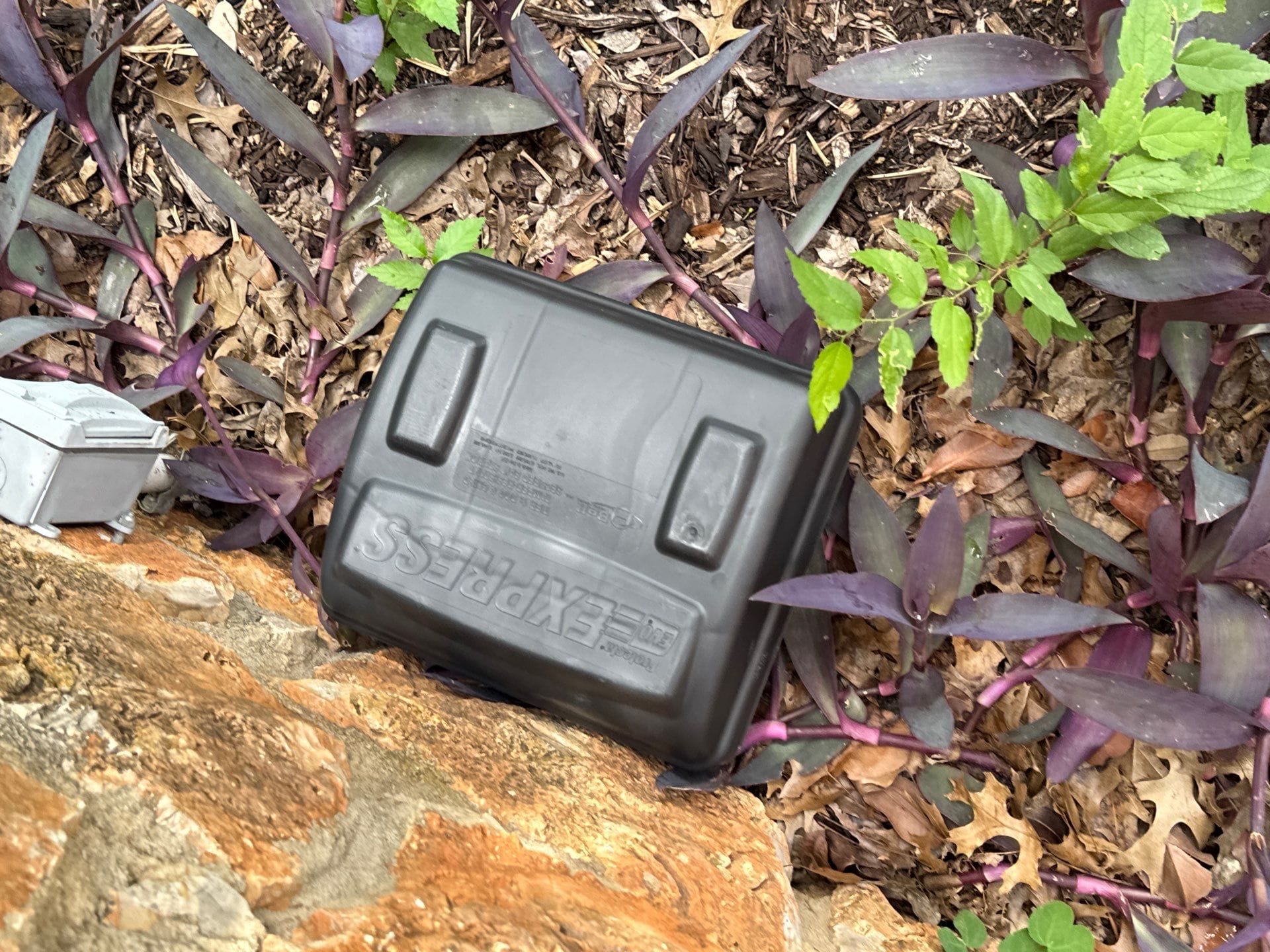 After photo