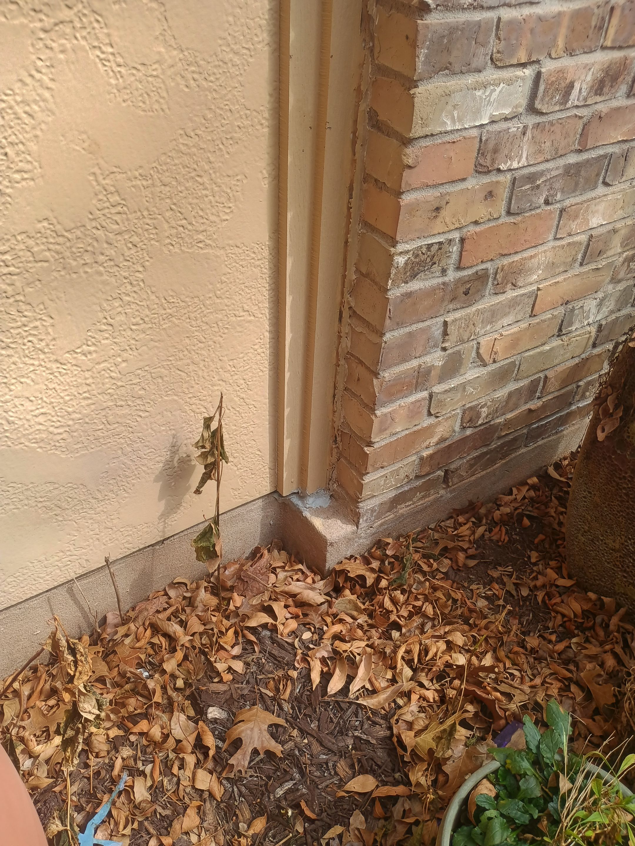 Before photo
