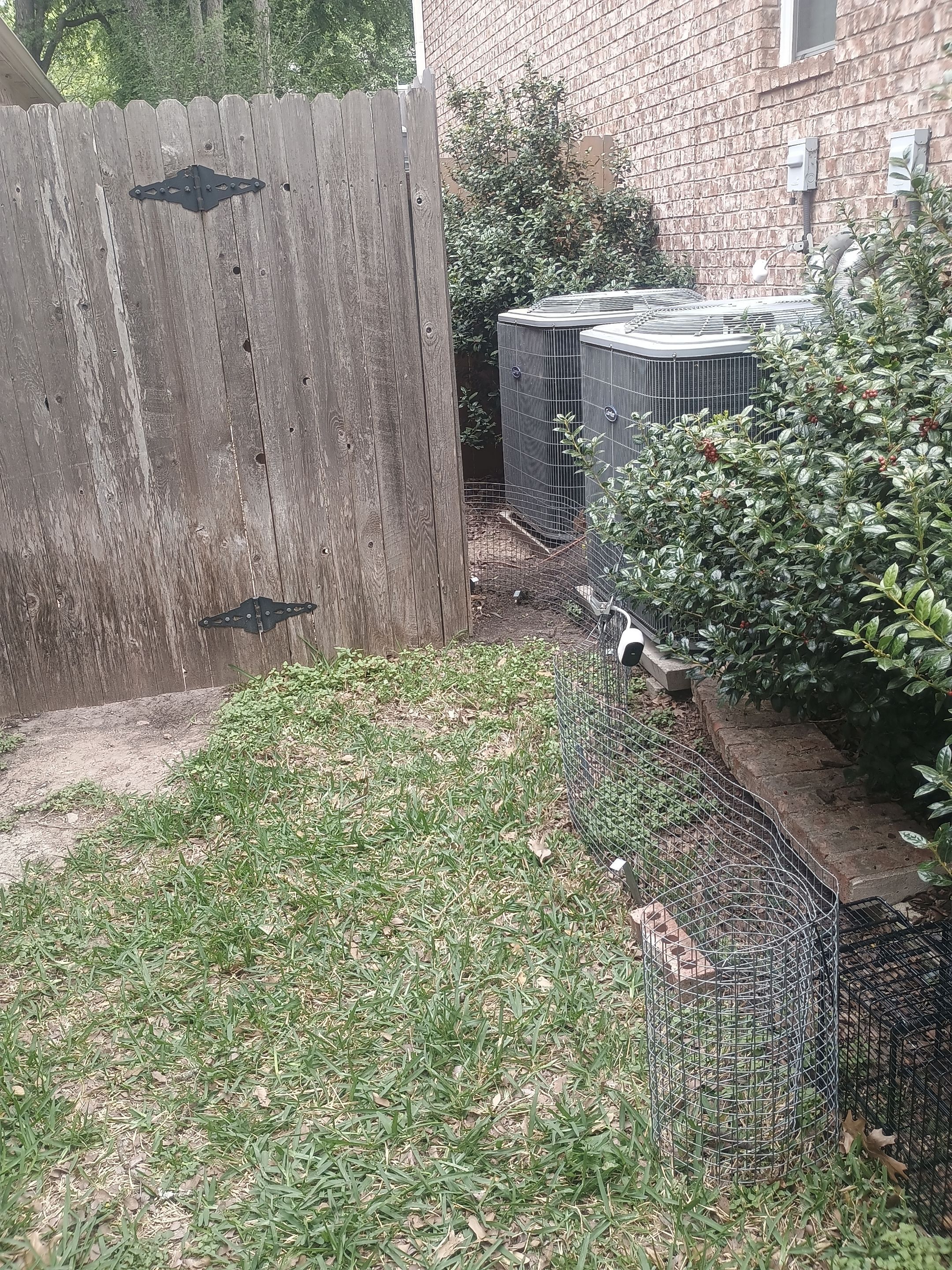 Before photo