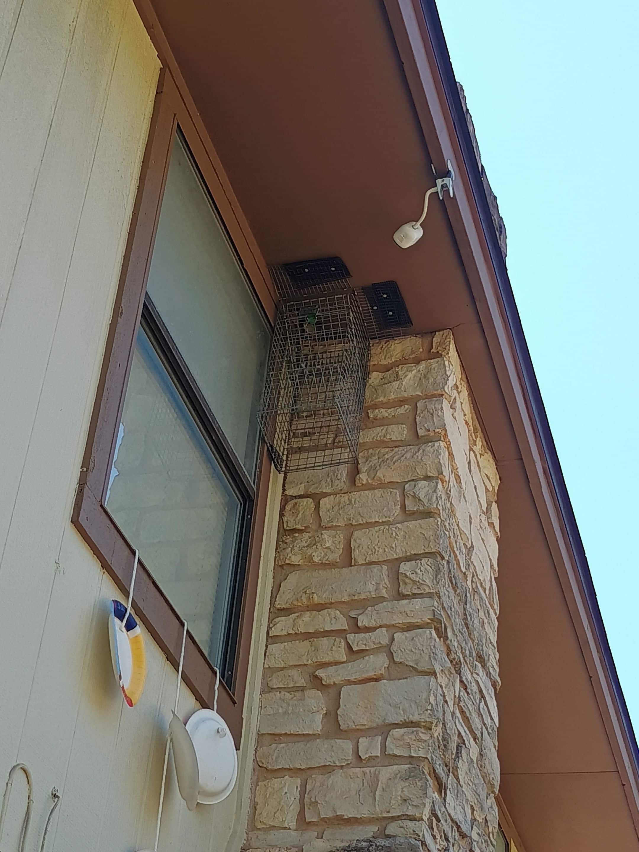 Before photo