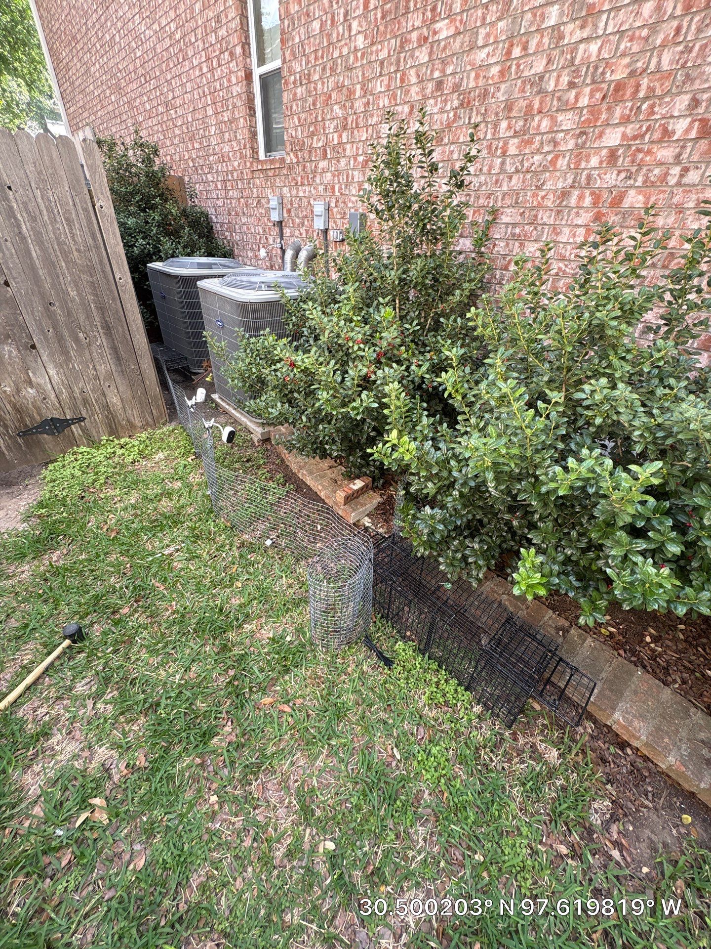 Before photo