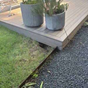 Austin | Zilker Fox Wildlife Removal in Austin