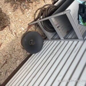 Austin | Zilker Mosquito Service in Austin