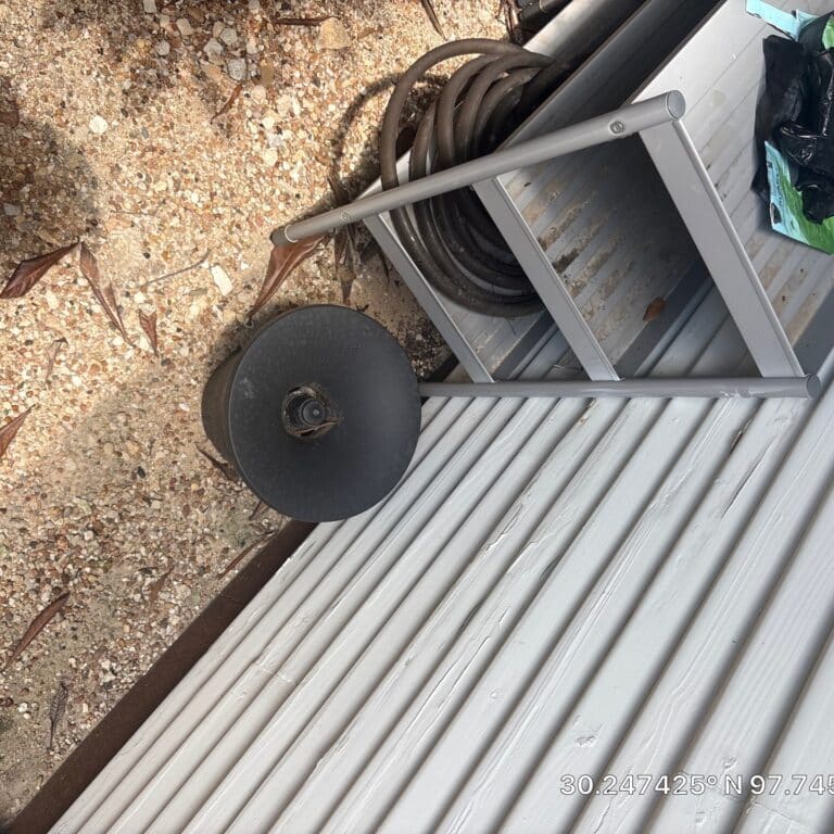 Austin | Zilker Mosquito Service in Austin
