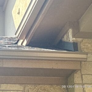 Austin | Northwood Skunk & Rat Exclusion in Austin
